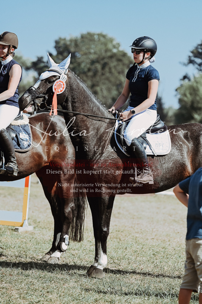 DSC_0095 | Pferde- und Turnierfotografie in Westsachsen. Pferdeportraits, Auftragszeichnungen und intuitive Kunst.