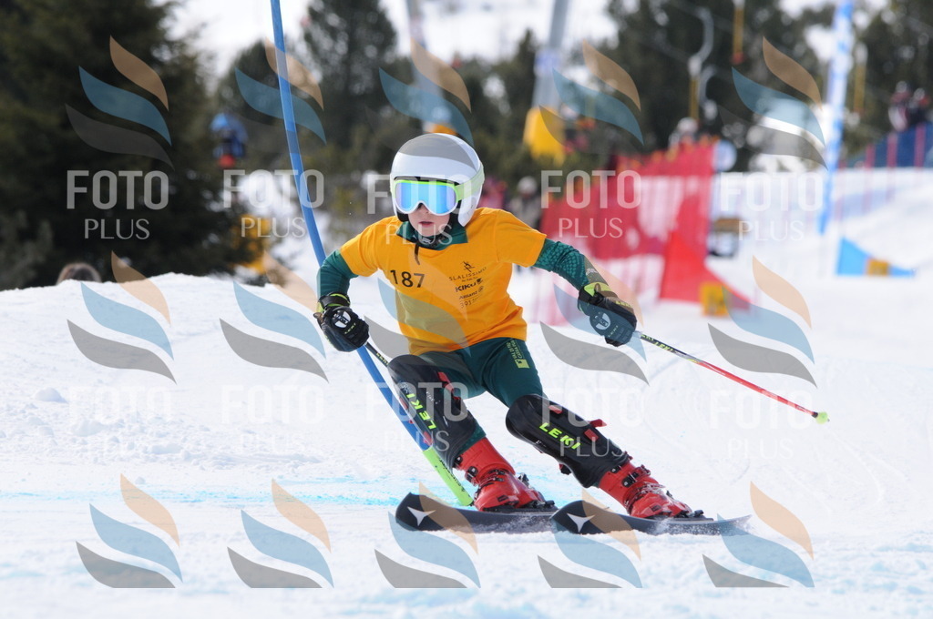 C7467 | holidayphoto