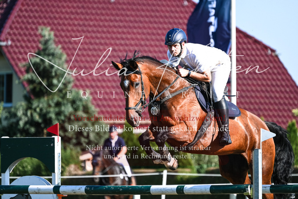 DSC_2716 | Pferde- und Turnierfotografie in Westsachsen. Pferdeportraits, Auftragszeichnungen und intuitive Kunst.