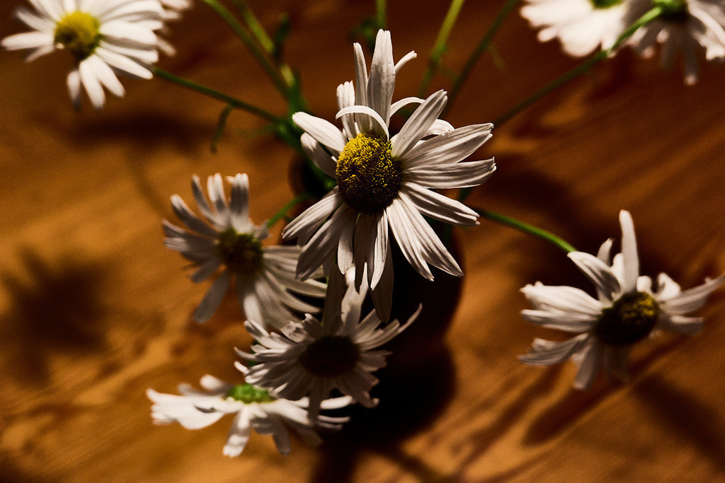 SN 57 | Ralph Driever - Fotograf - Realisiert mit Pictrs.com