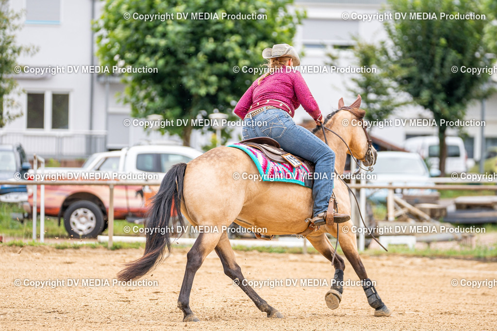 LM Heiligenwald Tag 3-1203 | dv-media-shop - Realisiert mit Pictrs.com