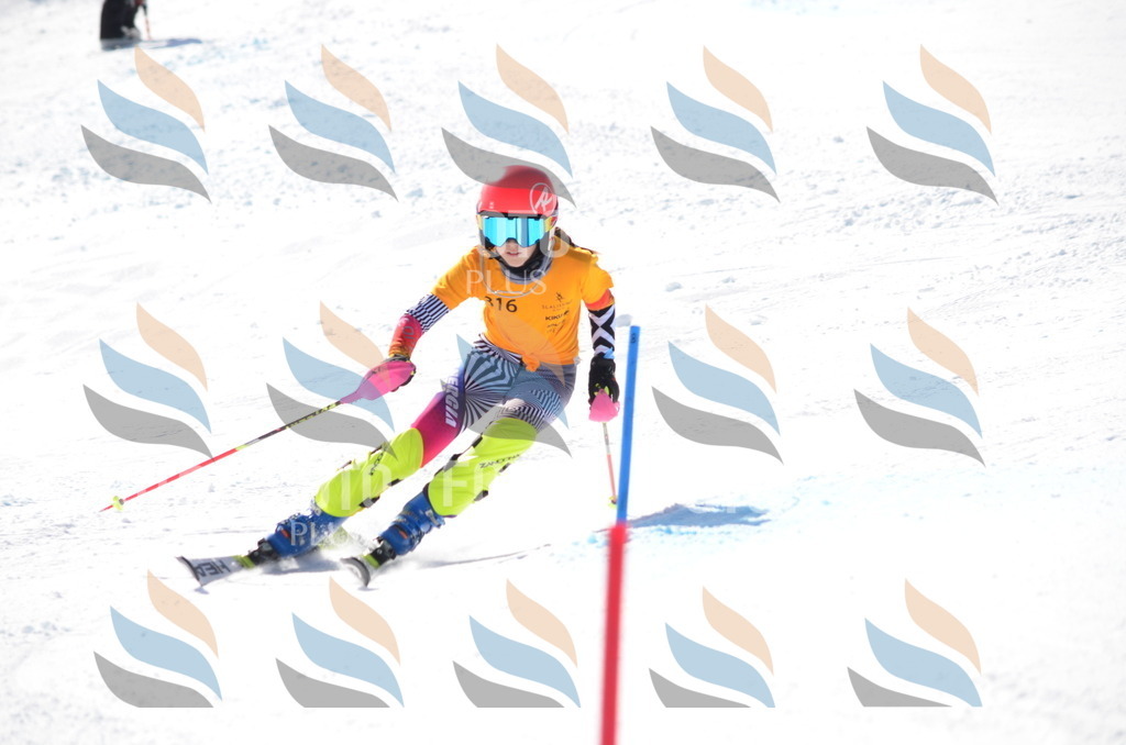 C9555 | holidayphoto