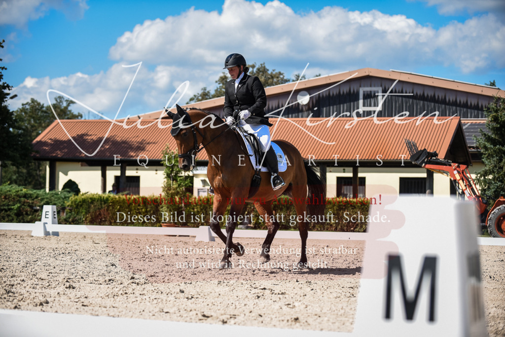 DSC_9638 | Pferde- und Turnierfotografie in Westsachsen. Pferdeportraits, Auftragszeichnungen und intuitive Kunst.