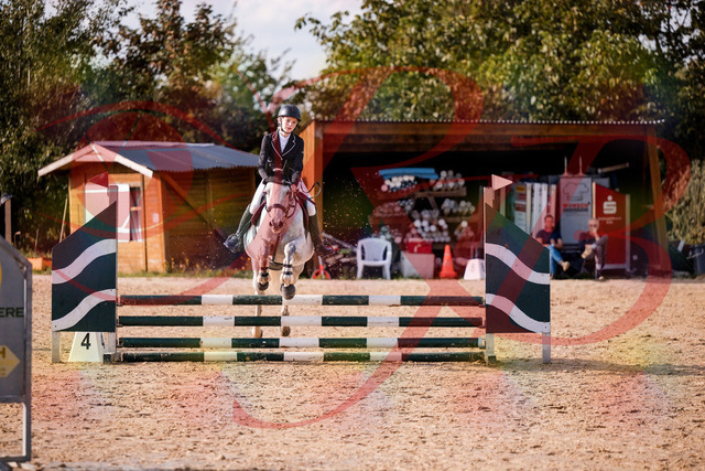 2026_10_03_Siefer-Hof_155137_Z81_70501116 | Professionelle Reitsport-, Turnier- und Eventfotografie von Robert Broda. Galerien mit ausgewählten und bearbeiteten Bildern direkt online ansehen und bestellen.