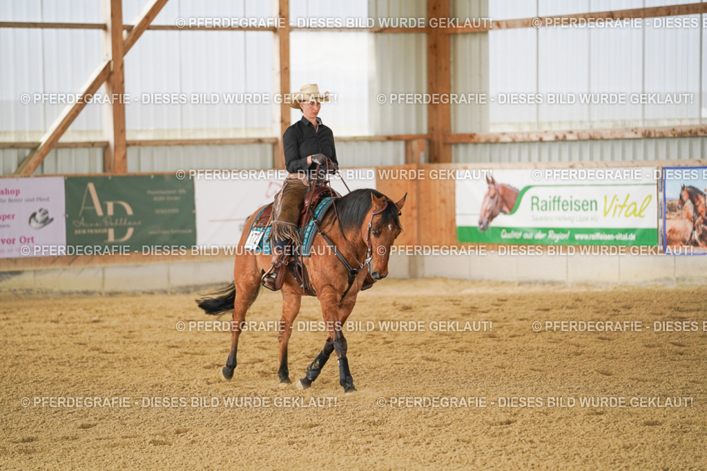 DSC03007 | Pferdegrafie