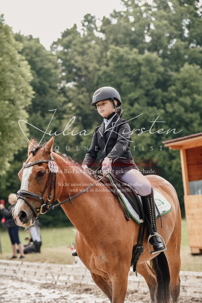 DSC_9099 | Pferde- und Turnierfotografie in Westsachsen. Pferdeportraits, Auftragszeichnungen und intuitive Kunst.