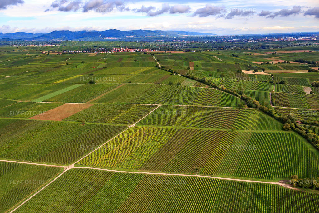 Luftbild: Weinberge Richtung Mörzheim im Ortsteil Appenhofen in Billigheim-Ingenheim im Bundesland Rheinland-Pfalz in Deutschland. Foto: IMG_072719.jpg vom 19.09.2014 durch Werner Riehm/FLY-FOTO.de