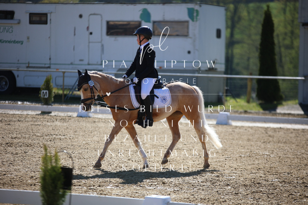 IMGT9825 | pl-fotografie