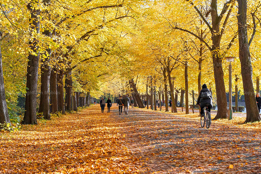 Clara Park | Der Clara-Zetkin-Park in Leipzig ist ein beliebter Ort für Natur, Sport und Erholung – perfekt für Spaziergänge, Jogging und entspannte Stunden im Grünen. - Realisiert mit Pictrs.com