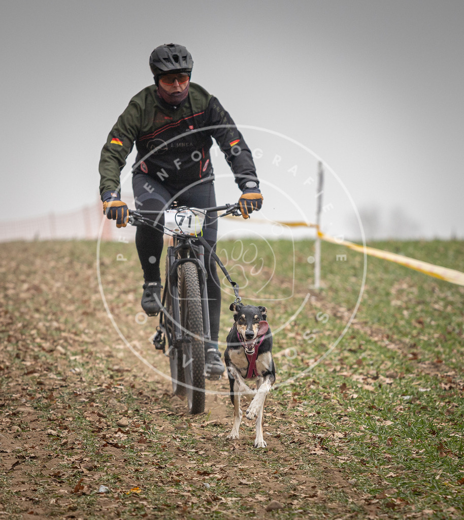Pfotenfotografie_DV3A3143 | Hundefotografie, Tierfotograf, Pfotenfotografie, Fotoshooting Hund, Hunde Portrait, Hundesport, Hundeportraits, Heideshooting, Hunde, Sportfotograf, Hundefotograf, Turnierhundsport, THS,  - Realisiert mit Pictrs.com