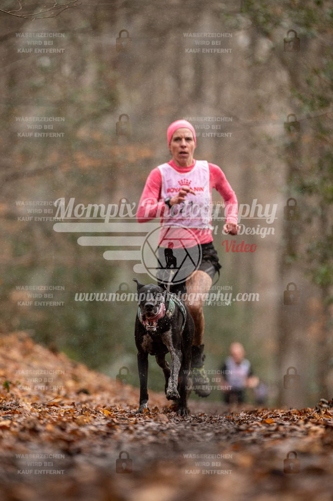 SPA_2023_DIM_CCL-27 | PayLife