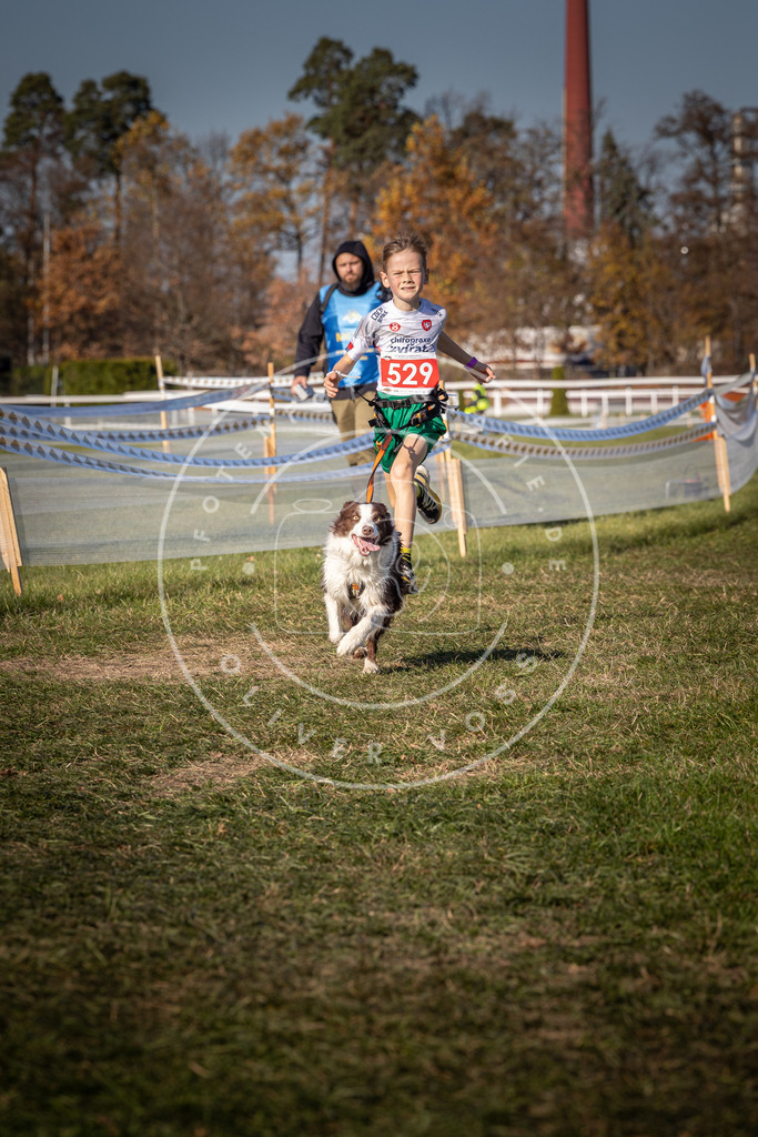 CaniXpix_0L8A7319 | Hundefotografie, Tierfotograf, Pfotenfotografie, Fotoshooting Hund, Hunde Portrait, Hundesport, Hundeportraits, Heideshooting, Hunde, Sportfotograf, Hundefotograf, Turnierhundsport, THS,  - Realisiert mit Pictrs.com