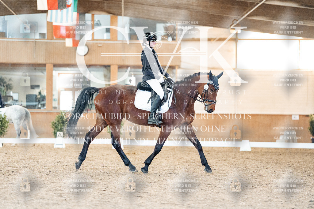 CK907646 | Turnierfotografie Pferdefotografie Trier Rheinland-Pfalz Pferdesport Reitsport Tierfotografie Sportfotografie Pferdevideo Pferdevideografie Equestrianvideography equestrianphotography  - Realisiert mit Pictrs.com