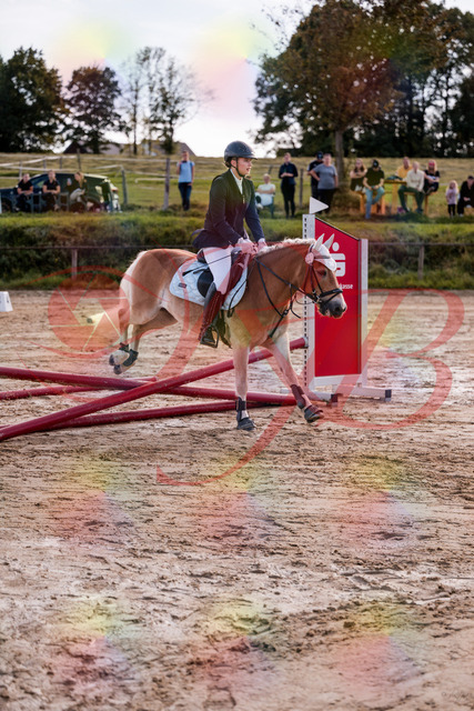 2026_10_03_Siefer-Hof_145444_Z81_34775554 | Professionelle Reitsport-, Turnier- und Eventfotografie von Robert Broda. Galerien mit ausgewählten und bearbeiteten Bildern direkt online ansehen und bestellen.