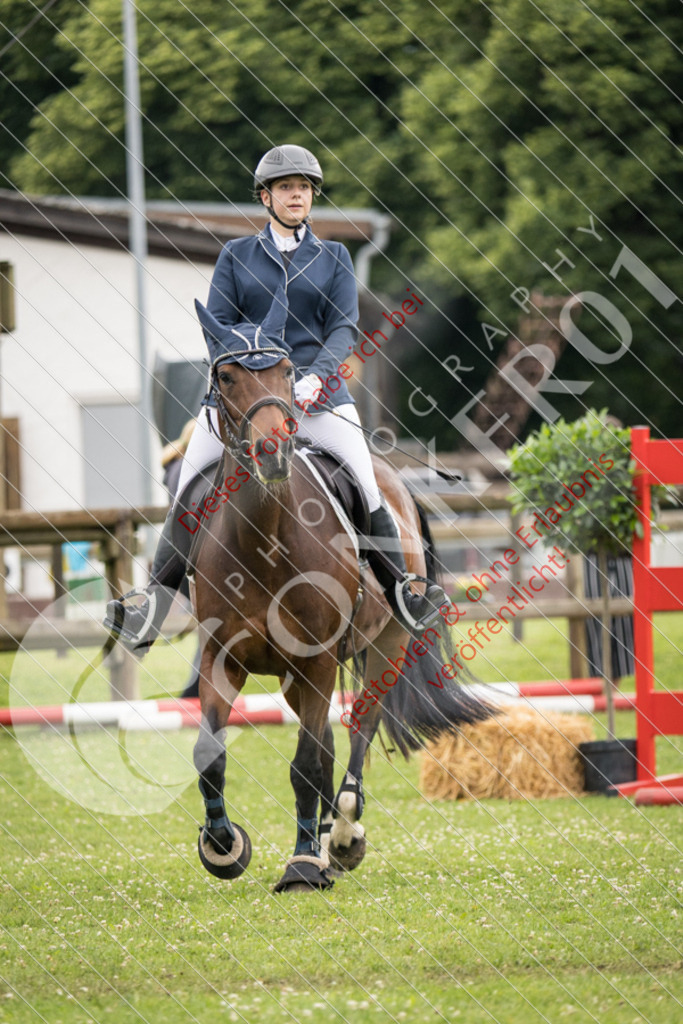 IMG_2652 | Sport-, Event- und Tierfotos in Profiqualität. Einfach auswählen, bestellen und herunterladen. Dein Moment – perfekt festgehalten.