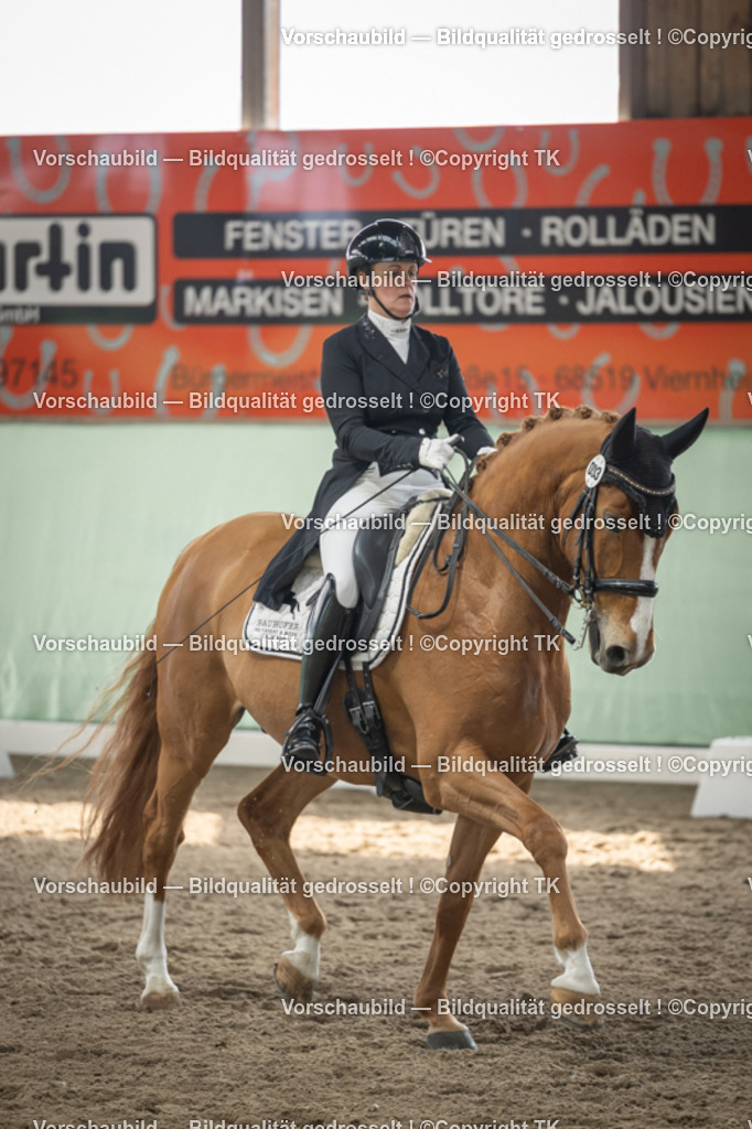 _D5A5053 | Emotionale Pferde- & People-Fotografie rund um Heidelberg, Leimen & Umgebung. Natürliche Fotos von Pferd, Mensch & Familie. Jetzt Termin sichern!