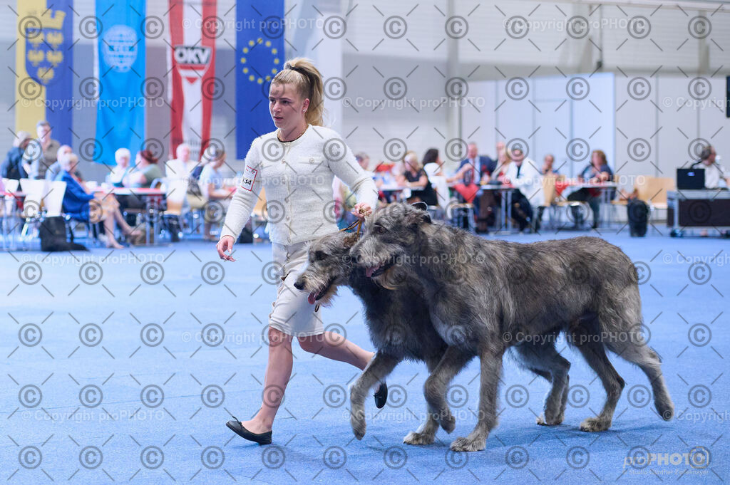 202406_ÖKV-IHA-Tulln24_DSC_3725 | proPHOTO - Realisiert mit Pictrs.com