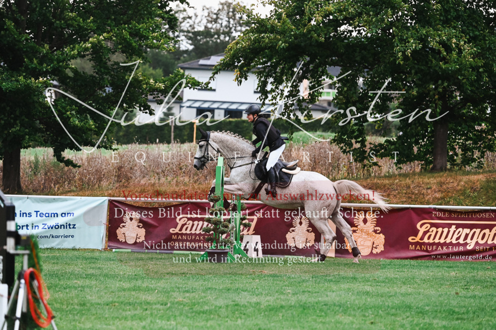 DSC_6063 | Pferde- und Turnierfotografie in Westsachsen. Pferdeportraits, Auftragszeichnungen und intuitive Kunst.