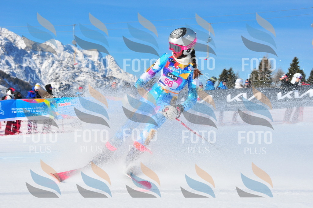 DSC_4173 | holidayphoto