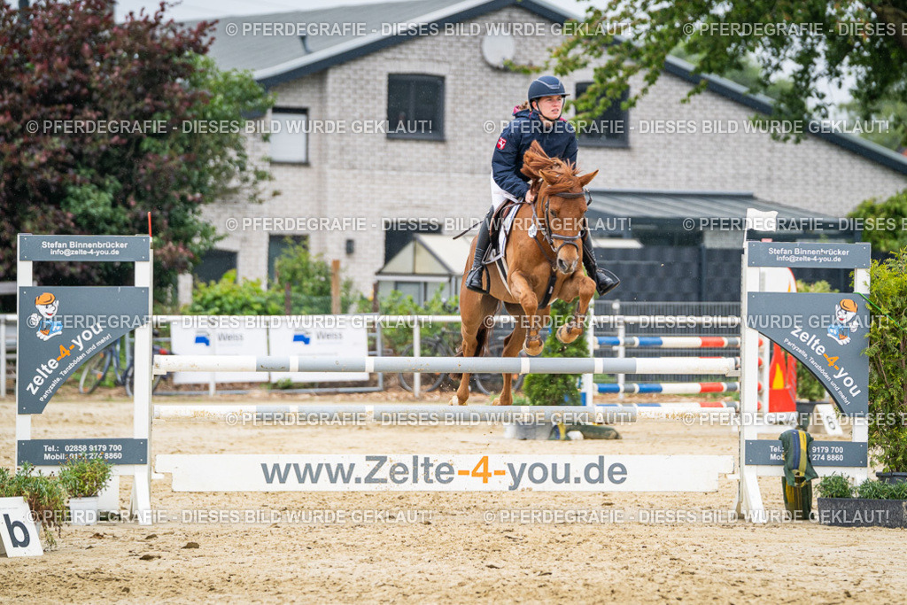 DSC00943 | Pferdegrafie