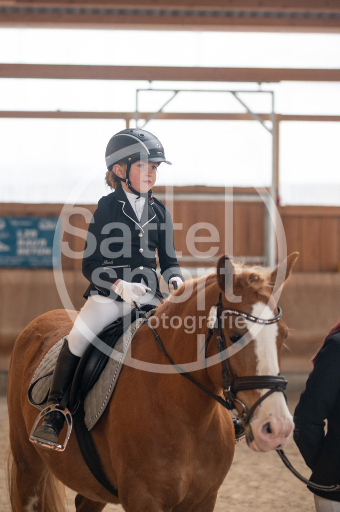 DSC_6962 | sattelsport - Realisiert mit Pictrs.com