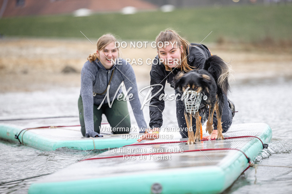 nelerasche_Hulsbeek_Sa1100-1130_189 | nelerasche