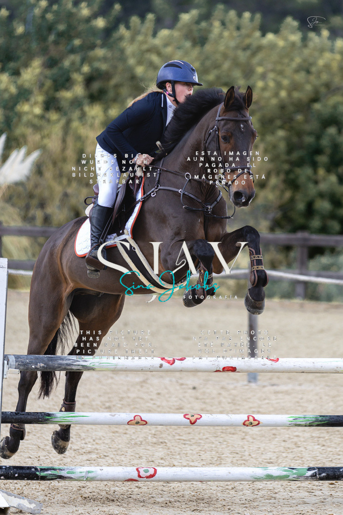 IMG_6047 | s-jay-photography - Realisiert mit Pictrs.com