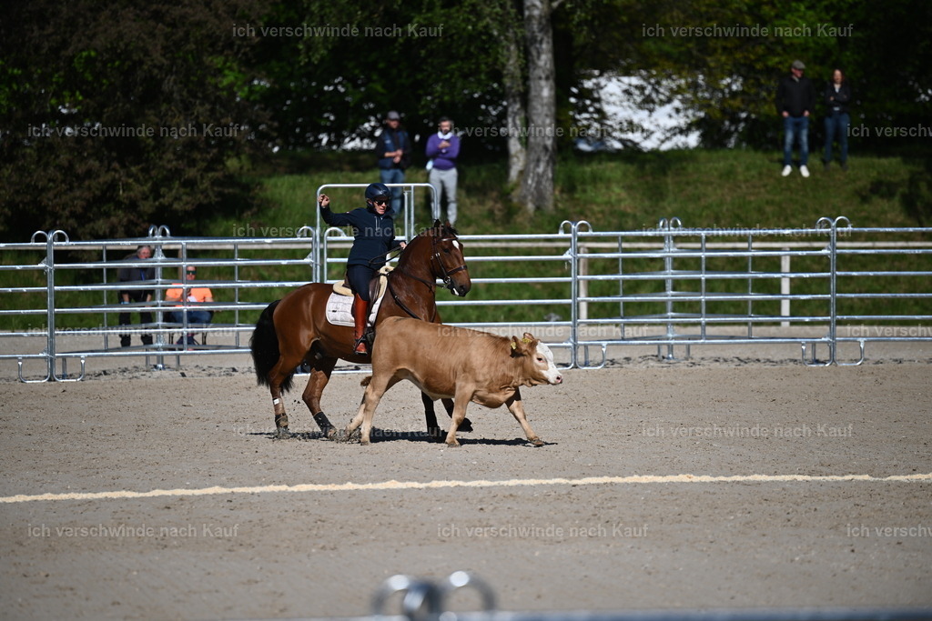PI26_COW_Sara Landvogt226_7071.JPG | working equitationturnier fotograf videograf stoibphotography marixx film working equitation deutschland reitsport turnierfotografie eventfotografie equestrian events