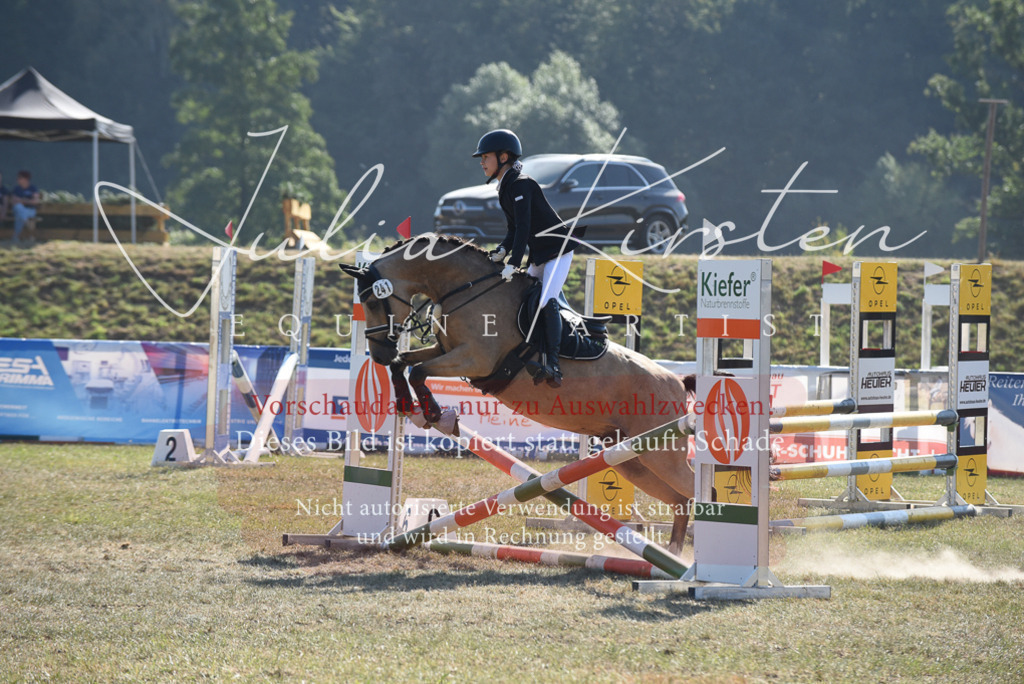 DSC_6076 | Pferde- und Turnierfotografie in Westsachsen. Pferdeportraits, Auftragszeichnungen und intuitive Kunst.