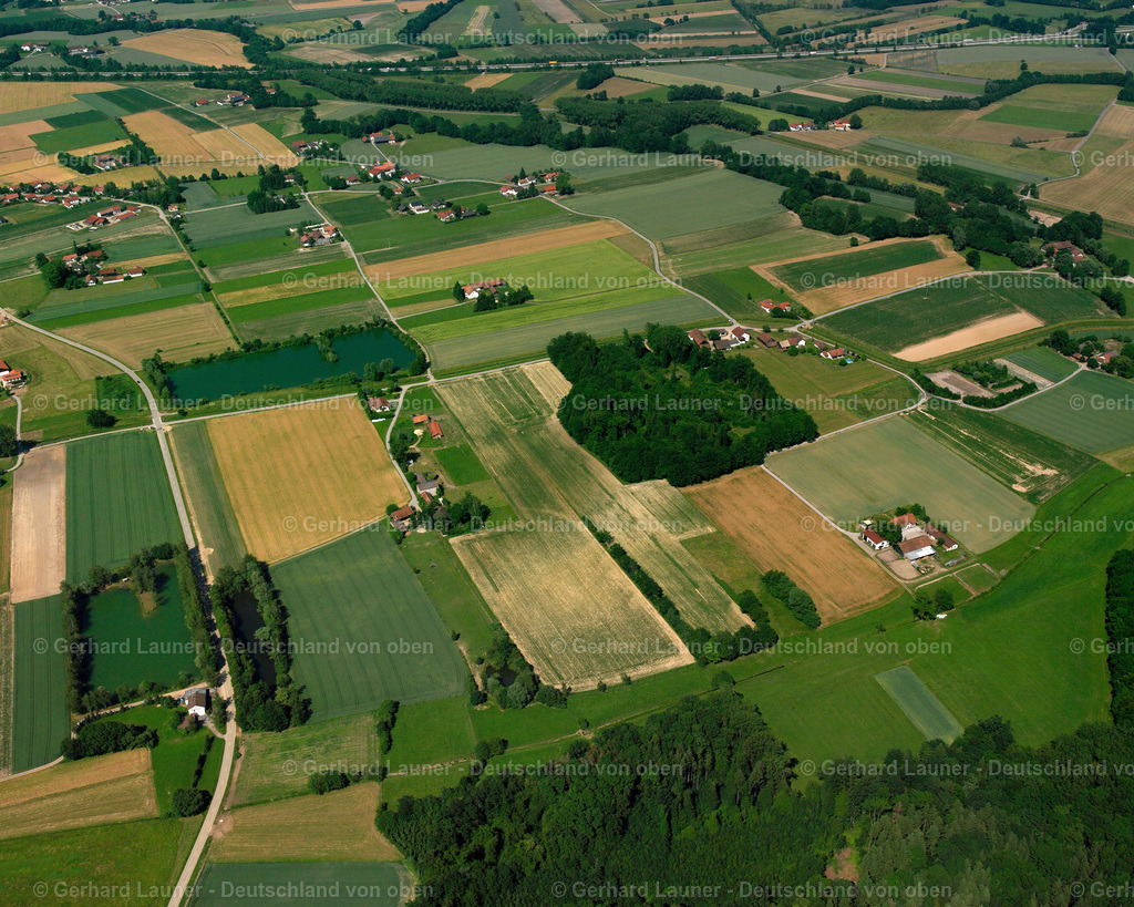 2518118 | Moos, Mariaposching