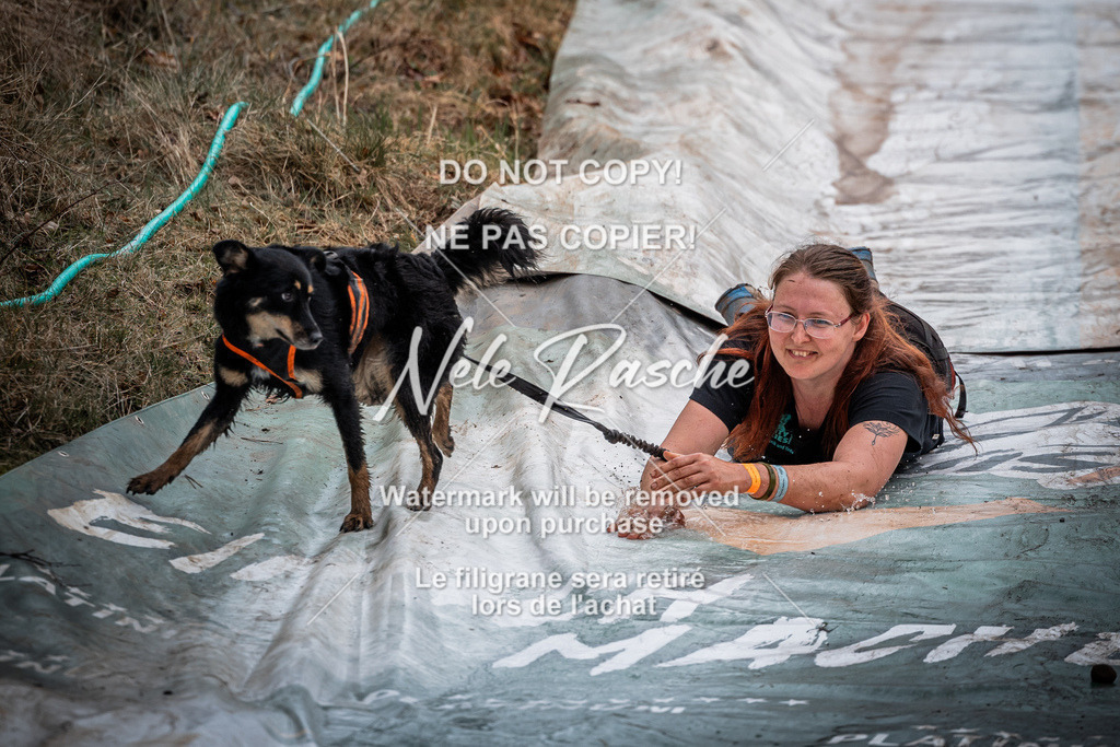 nelerasche_1100-1130_73 | nelerasche