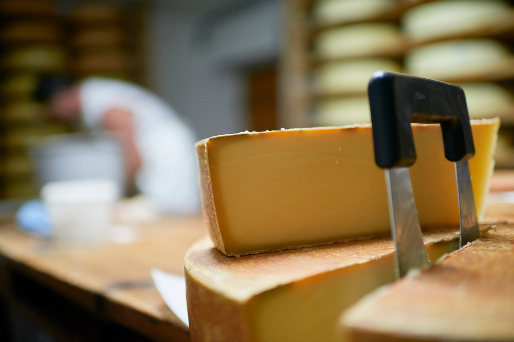 Im Käsekeller wird der Käse portioniert | Laterns, Austria - July 28, 2017: Im Käsekeller wird der Käse portioniert. - Realisiert mit Pictrs.com
