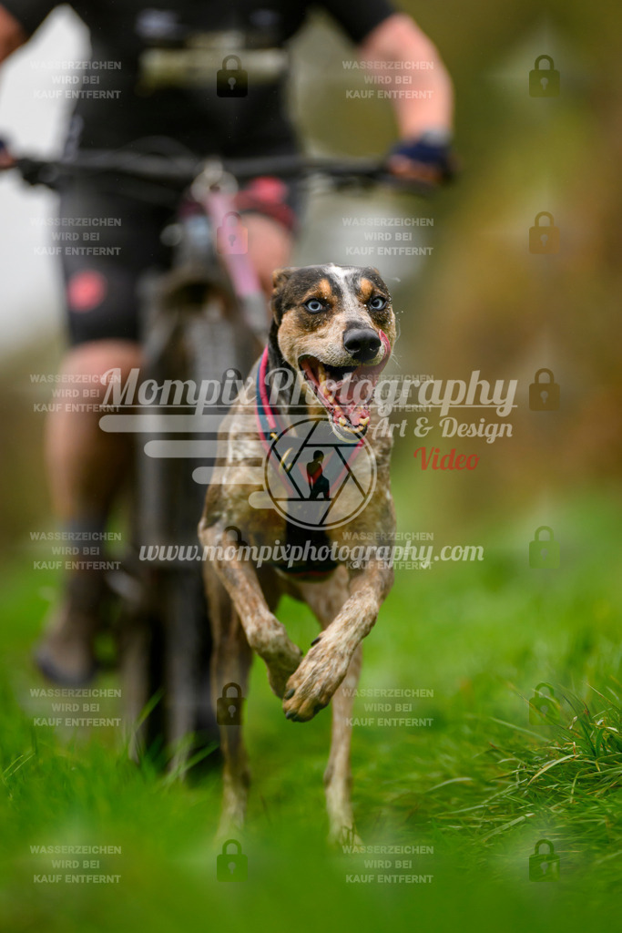 MompixPhotography_20TSB_E8_Bike-132 | PayLife