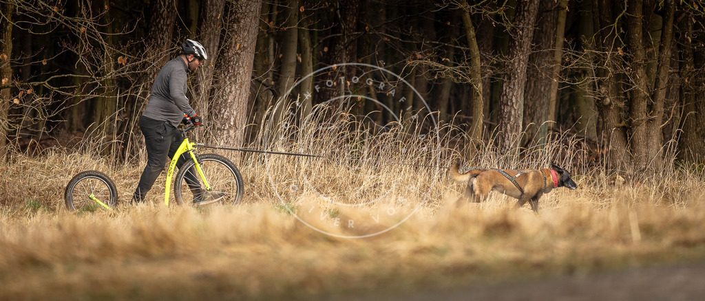DV3A3584 | Hundefotografie, Tierfotograf, Pfotenfotografie, Fotoshooting Hund, Hunde Portrait, Hundesport, Hundeportraits, Heideshooting, Hunde, Sportfotograf, Hundefotograf, Turnierhundsport, THS,  - Realisiert mit Pictrs.com