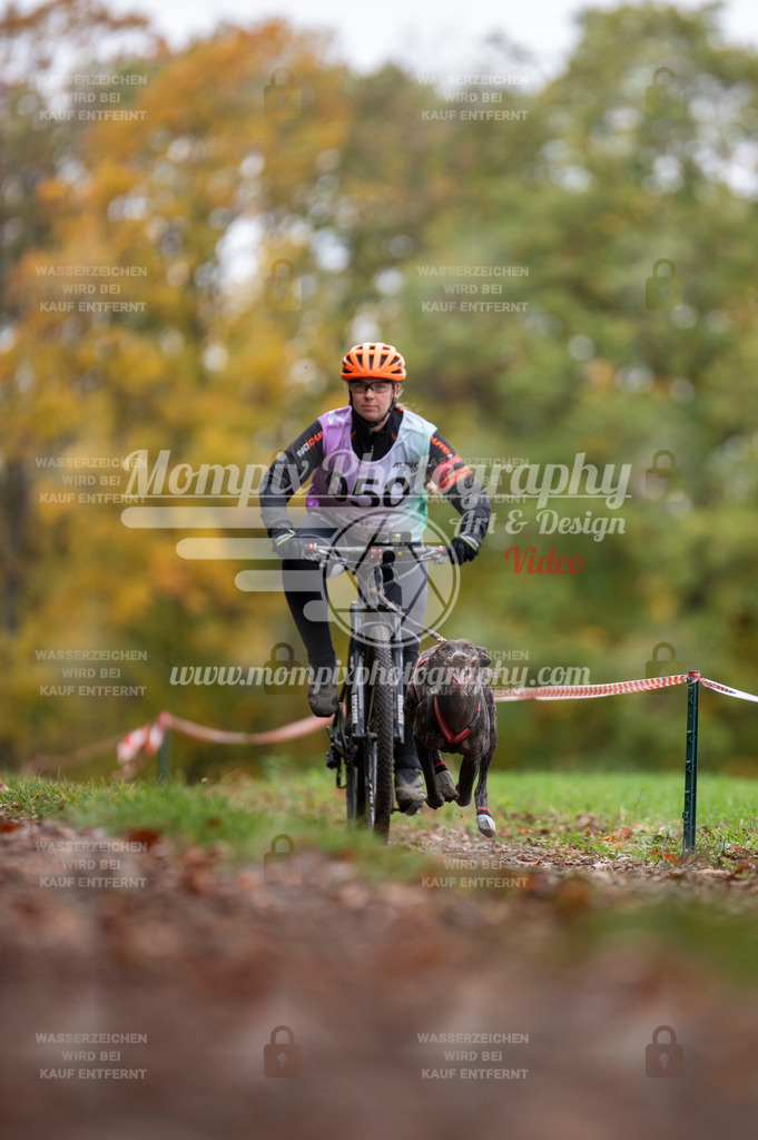 DBT_DAKM_SA_4_11_2023_Bike-19 | PayLife