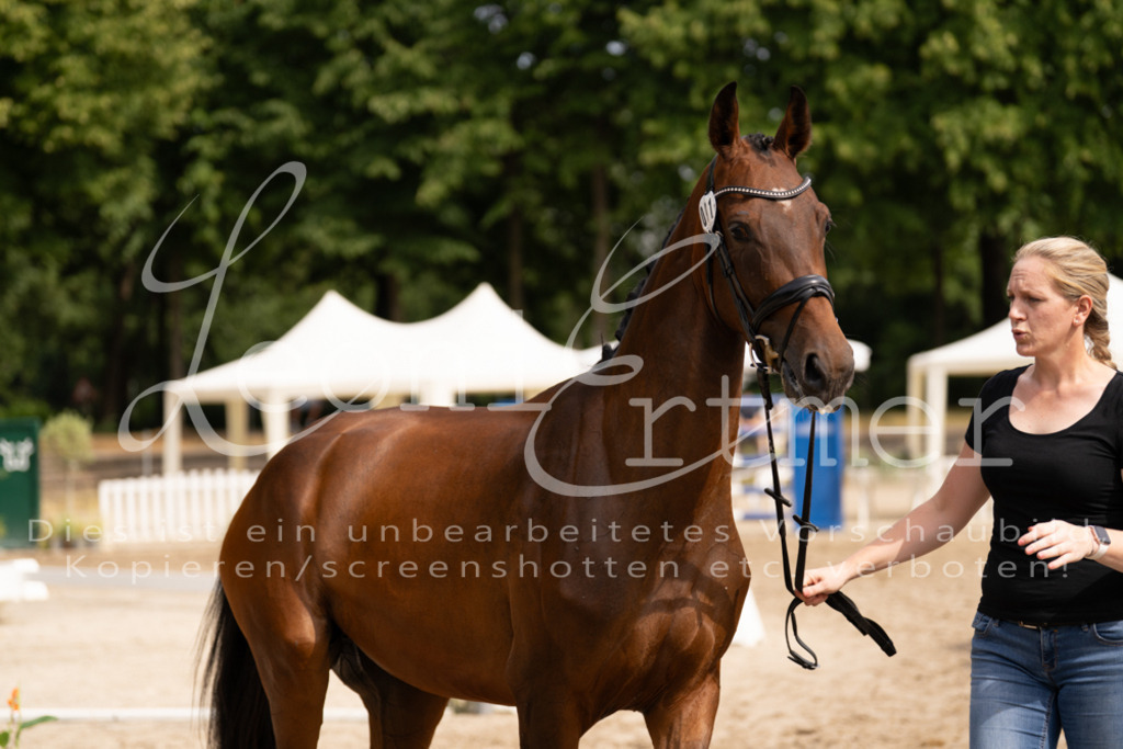 6.Fr00179 | Leoni Ertmer Photography - Realisiert mit Pictrs.com