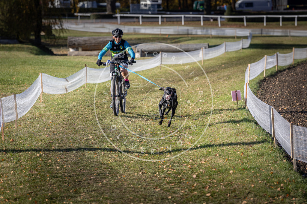 CaniXpix_DV3A4617 | Hundefotografie, Tierfotograf, Pfotenfotografie, Fotoshooting Hund, Hunde Portrait, Hundesport, Hundeportraits, Heideshooting, Hunde, Sportfotograf, Hundefotograf, Turnierhundsport, THS,  - Realisiert mit Pictrs.com