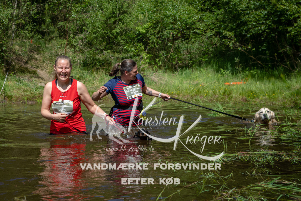 1147DKK991075 | kk-dogfotos