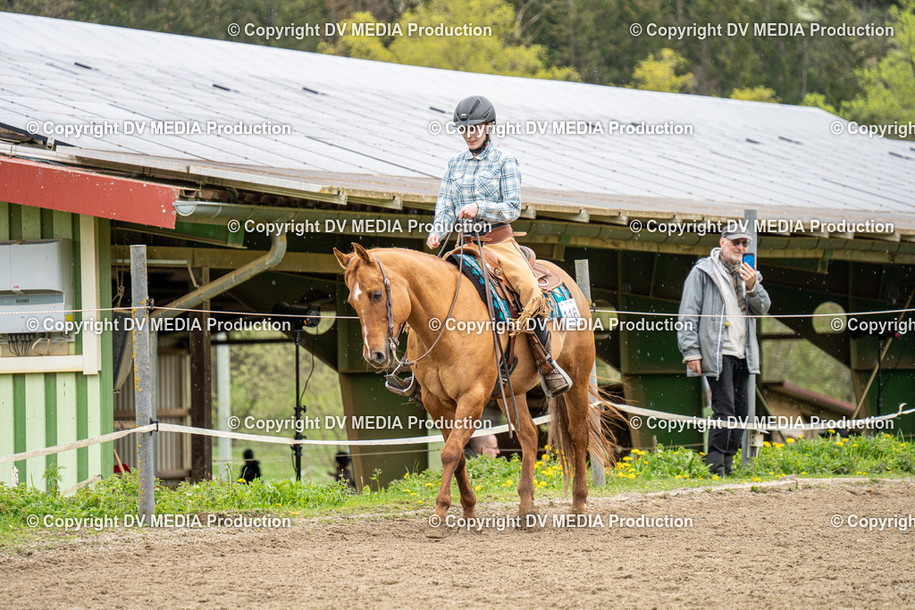 BAL00802 | dv-media-shop - Realisiert mit Pictrs.com