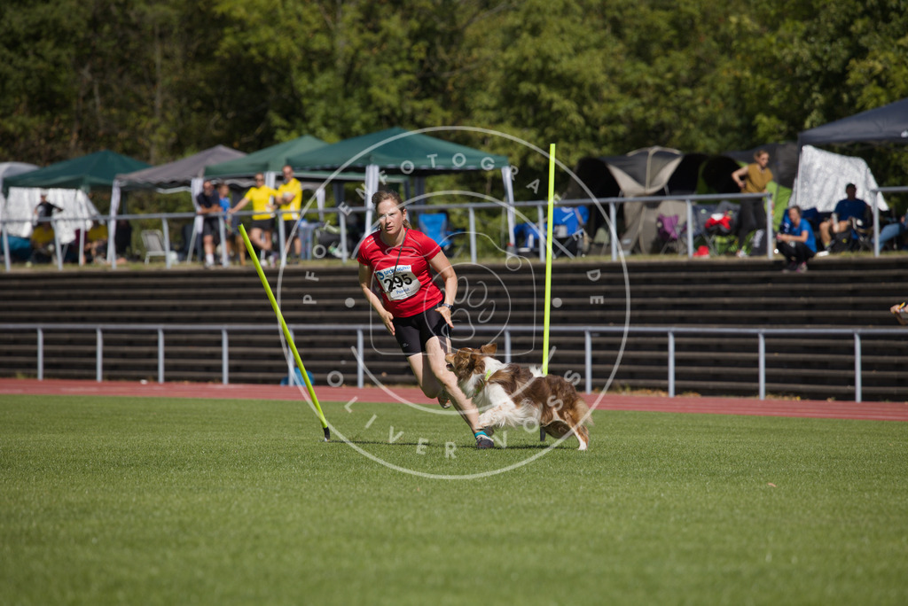0L8A7066 | Hundefotografie, Tierfotograf, Pfotenfotografie, Fotoshooting Hund, Hunde Portrait, Hundesport, Hundeportraits, Heideshooting, Hunde, Sportfotograf, Hundefotograf, Turnierhundsport, THS,  - Realisiert mit Pictrs.com