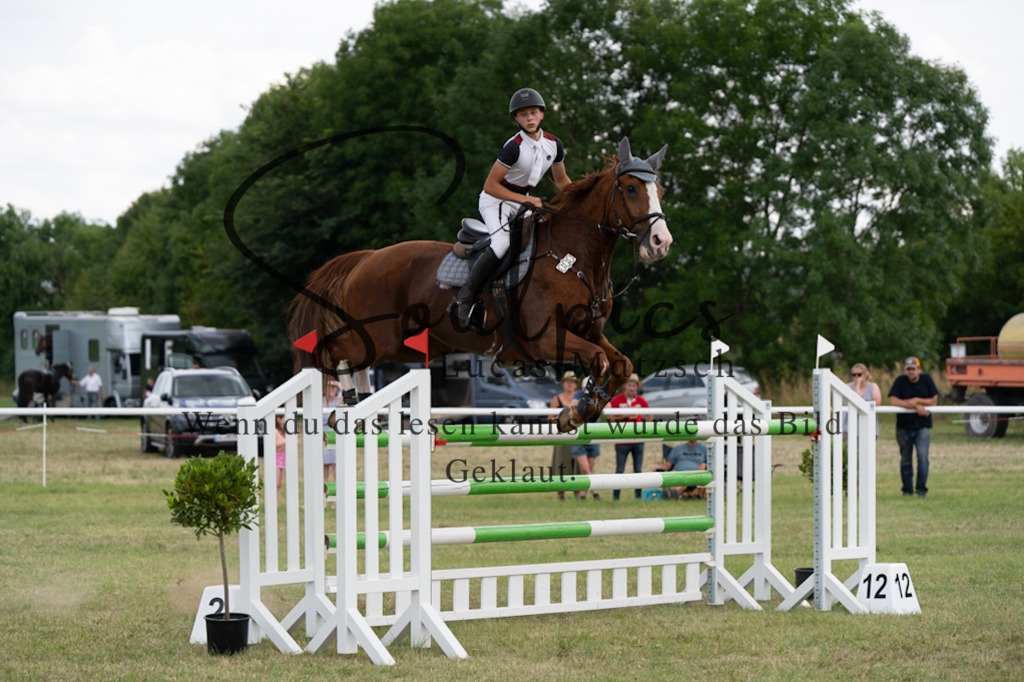 A7V02378 | Pferdefotograf