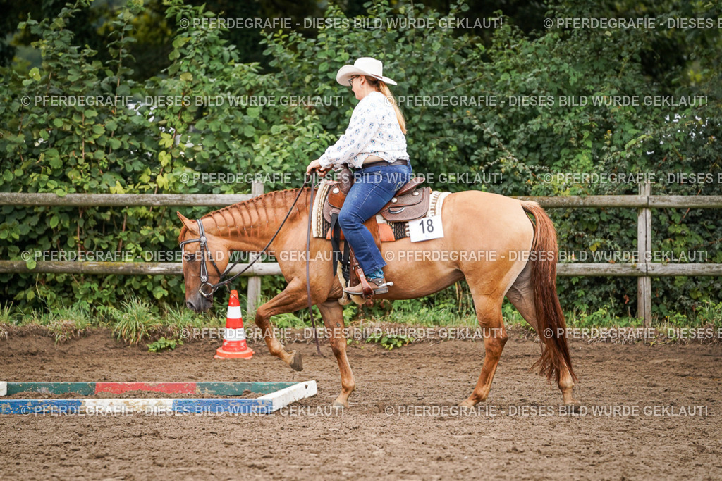 DSC02928 | Pferdegrafie