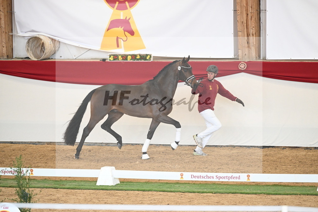 Kat.-Nr. 64 v. Fürst Zonik PS_Raedecke_2250545 | hf-fotografie - Realisiert mit Pictrs.com
