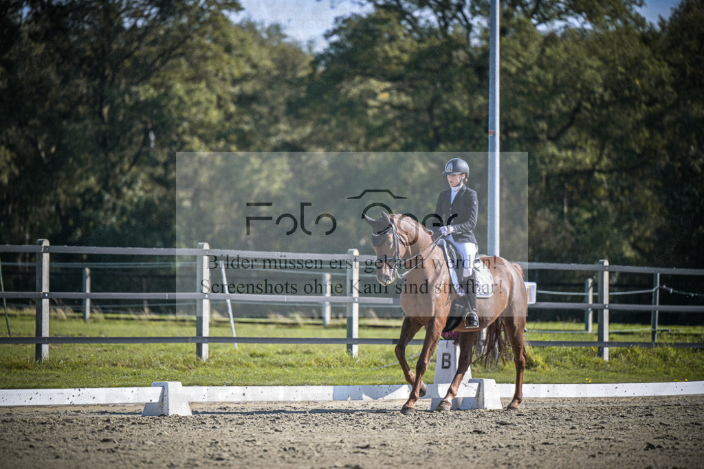 DOS_3045 | Entdecke hochwertige Reitturnierfotos von Foto Oger. Professionell, emotional und authentisch – jetzt Lieblingsmomente im Shop bestellen.Deutschlandweite Turnierfotografie. - Realisiert mit Pictrs.com