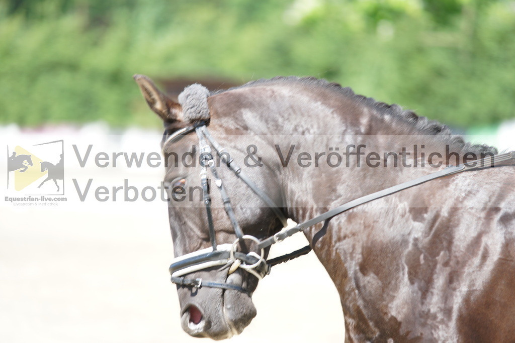 DSC01659 | equestrian-live-com