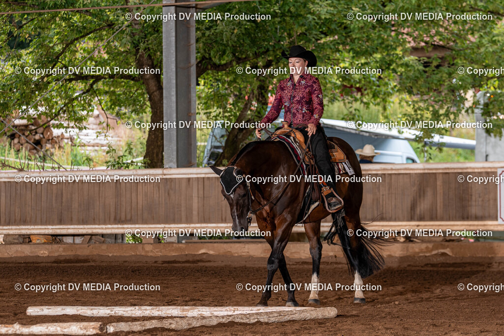 Erbach Tag 2-310 | dv-media-shop - Realisiert mit Pictrs.com