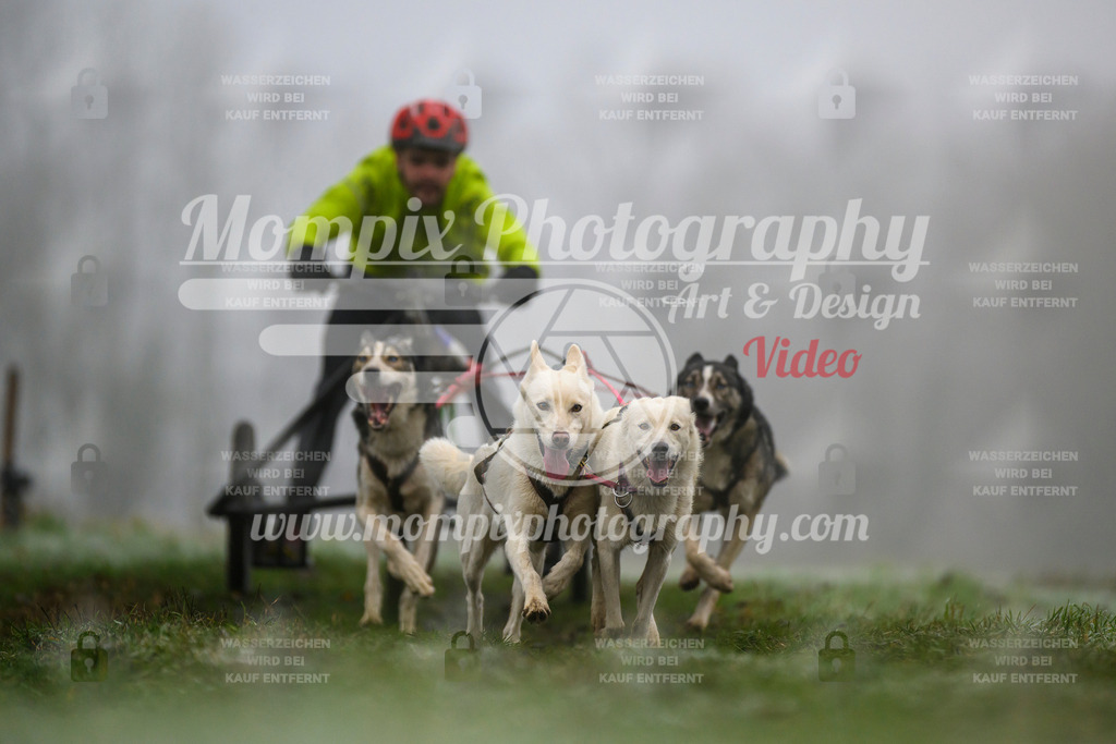 MompixPhotography_CDF2023_FFST_Di_Kart-33 | PayLife