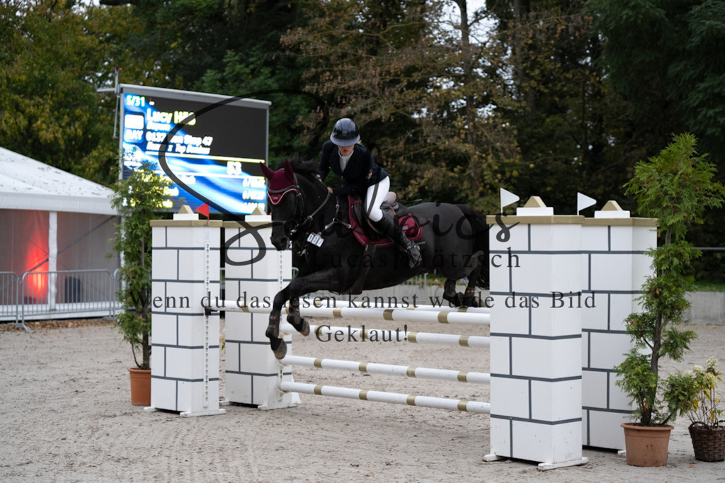 A7V08596 | Turnier/Reitfotograf