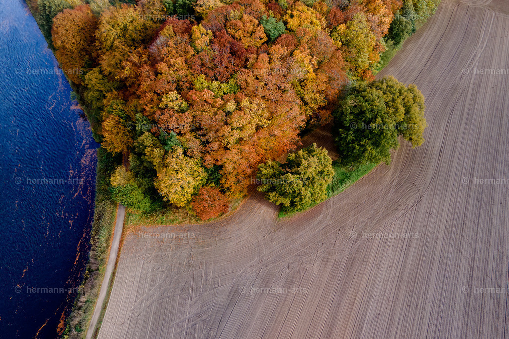 Trees_fine_Art_0039 | Photo Foto Kunst Art schwarzweiss Bilder Rheine Münster Berlin Blumen 