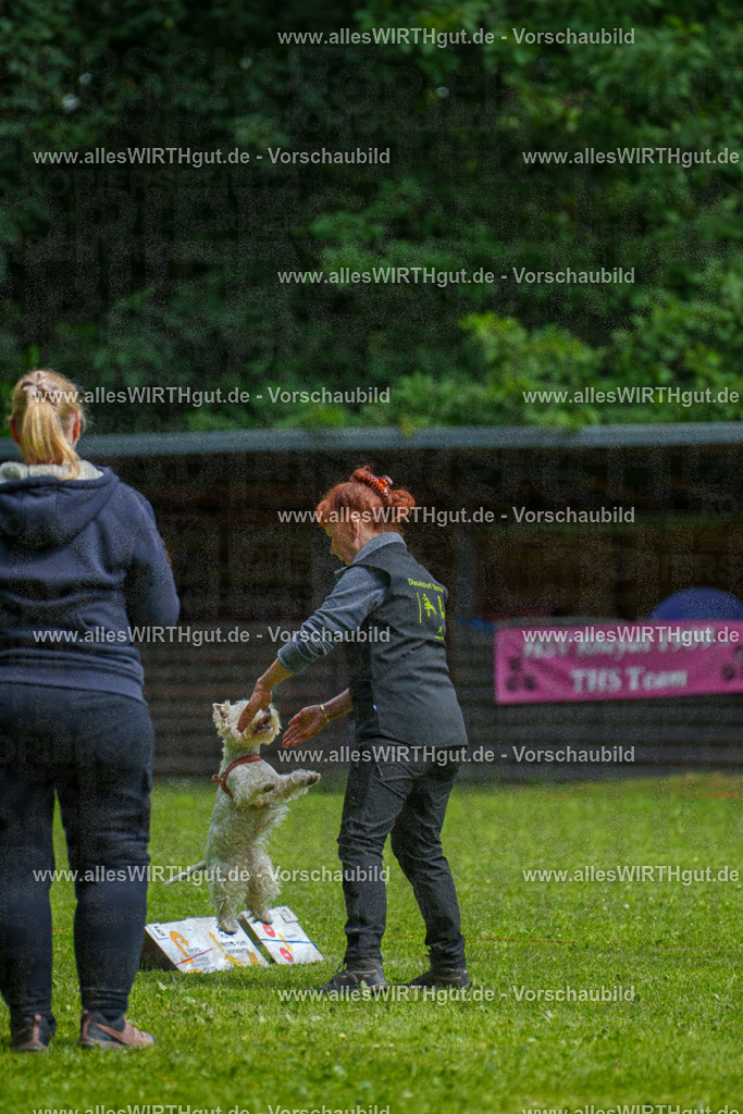 @allesWIRTHgut_Tierfotografie - www.allesWIRTHgut.de - 7R503804 | Professionelle Tierfotografie in Mönchengladbach von Daniel Wirth (allesWIRTHgut). Liebevolle & natürliche Bilder von Hunden & Katzen für unvergessliche Erinnerungen.